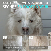 Le TurboDry Pro™ - Pulseur de Séchage Haute Puissance