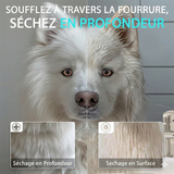 Le TurboDry Pro™ - Pulseur de Séchage Haute Puissance