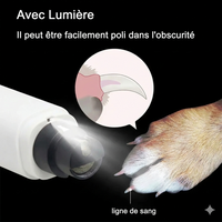 Le SafeClaw™ - Polisseur de Griffes Haute Précision