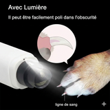 Le SafeClaw™ - Polisseur de Griffes Haute Précision