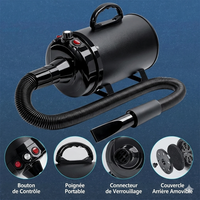 Le TurboDry Pro™ - Pulseur de Séchage Haute Puissance