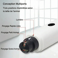 Le SafeClaw™ - Polisseur de Griffes Haute Précision